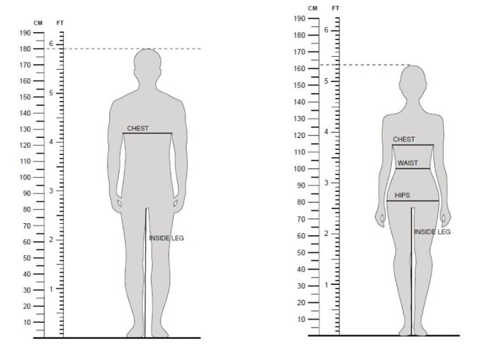 Men and women's size measurements