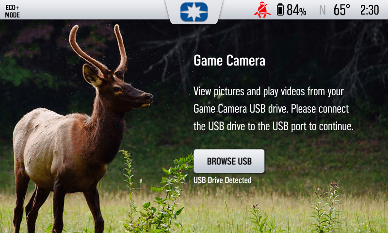 view of the game camera screen, the media viewer will look very similar